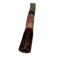 Green/Pink - Lizard Eucalyptus (Grey Box) Handpainted Didgeridoo (1.30m) - Bark Base