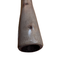 Eucalyptus (Ironbark) Handpainted Didgeridoo (1.23m) - Brolga (Earth Tones)