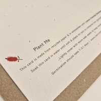 Native Seed Box Plantable Greeting Card - Wombat