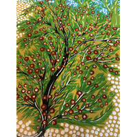 Original Aboriginal Art Stretched Canvas (40cm x 30cm) - Flowering Hop Bush on Kullilli Country