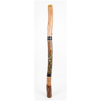 Green/Red - Brolga Eucalyptus (Grey Box) Handpainted Didgeridoo (1.27m) - Bark Base