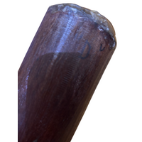 Eucalyptus (Ironbark) Handpainted Didgeridoo (1.28m) - Emu (Earth Tones)