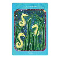 Aboriginal Saltwater Reading Cards  - Journey With The Messengers of the Sea (Pk 36 Cards)