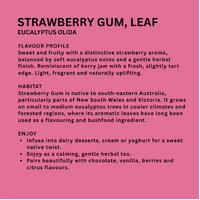 My Dilly Bag Strawberry Gum Leaves (10g)