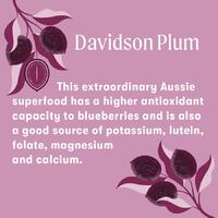 Meluka Australia Davidson Plum infused Raw Honey (275g)
