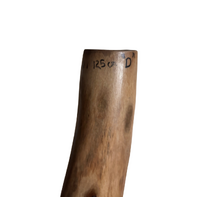 Green - Lizard Eucalyptus (Grey Box) Handpainted Didgeridoo (1.25m) - Bark Base