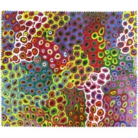 Utopia Aboriginal Art Microfibre Lens Cloth - Soakage 