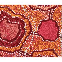 Scorched Earth - Limited Edition Giftboxed Silk Scarf - Emu Dreaming by Pauline Nampijinpa Singleton