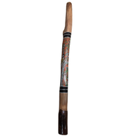Pink/Green - Brolga Eucalyptus (Grey Box) Handpainted Didgeridoo (1.18m) - Bark Base