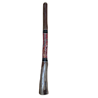 Eucalyptus (Ironbark) Handpainted Didgeridoo (1.43m) HEAVY - Flared End with Lizard (Red/Pink)