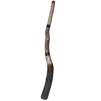 Eucalyptus (Ironbark) handpainted Didgeridoo (1.57m) - Flared End with Lizard