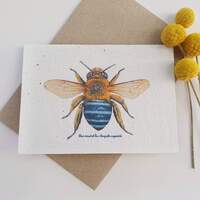 Native Seed Box Plantable Greeting Card - Blue-banded Bee