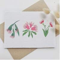 Native Seed Box Plantable Greeting Card - Eucalyptus Blossoms