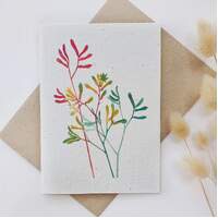 Native Seed Box Plantable Greeting Card - Kangaroo Paw