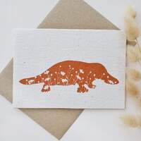 Native Seed Box Plantable Greeting Card - Platypus