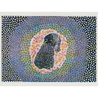 DKA Postcard - Aborigine Man