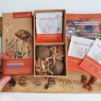 Native Seed Box - Australian Bush Tucker [Edible Native] Collection Seedbombs