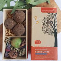 Native Seed Box - Australian  Wildflower [Koala Food] Collection Seedbombs