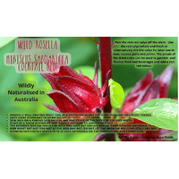 NATIF Wild Rosella Seeds (Pk 10)