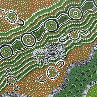 Goanna Dreaming (Green) - Aboriginal design Fabric