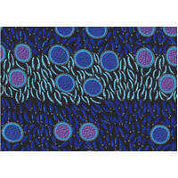 Wild Seeds &amp; Bush Tucker (Blue) SCRAP [1.45m] - Aboriginal design Fabric