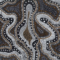 Possum Land &amp; Water Dreaming (Black) [SCRAP1.8M] - Aboriginal design Fabric