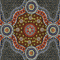 Wild Bush Flowers (Black) - Aboriginal design Fabric