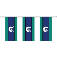 Torres Strait Islander Flag Bunting (10M)