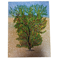 Original Aboriginal Art Stretched Canvas (40cm x 30cm) - Flowering Hop Bush on Kullilli Country