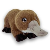 Platypus [18cm]  - Eco Bubs Plush Toy