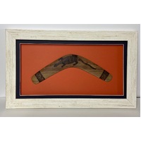 Framed Aboriginal (Burnt design) Boomerang (35cm) - Goanna (Orange)