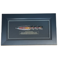 Framed Handpainted Aboriginal Spearhead