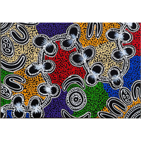 Raintree Aboriginal Art Stretched Canvas [51xm x 35cm) - Bush Plum Women Dreaming