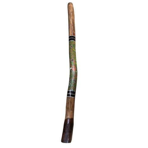 Green/Pink - Lizard Eucalyptus (Grey Box) Handpainted Didgeridoo (1.30m) - Bark Base