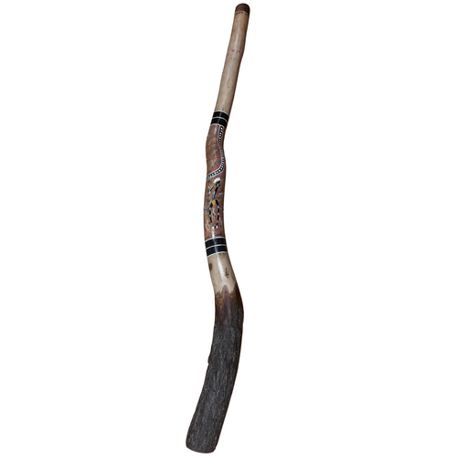 Eucalyptus (Ironbark) handpainted Didgeridoo (1.57m) - Flared End with Lizard