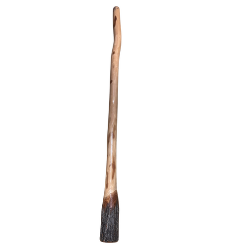 Eucalyptus (Ironbark) Unpainted Didgeridoo (1.4m) - Natural Bark End