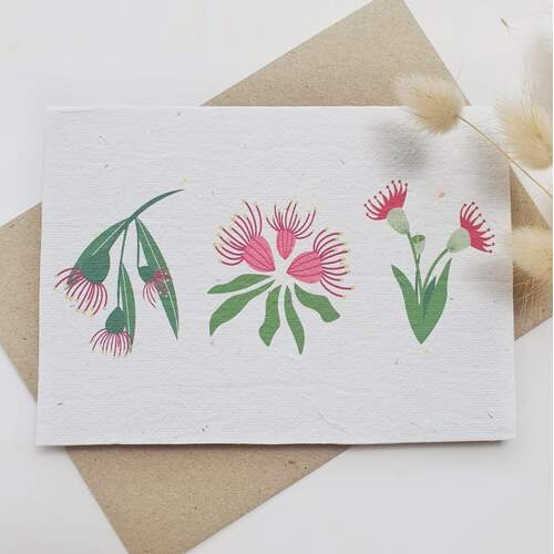 Native Seed Box Plantable Greeting Card - Eucalyptus Blossoms