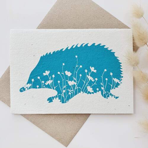 Native Seed Box Plantable Greeting Card - Echidna