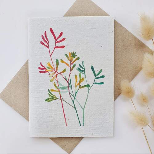 Native Seed Box Plantable Greeting Card - Kangaroo Paw