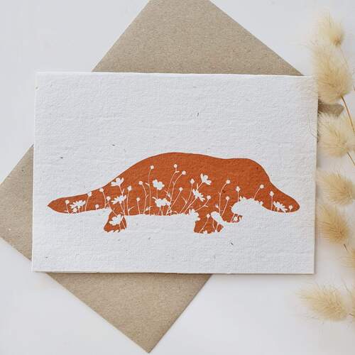 Native Seed Box Plantable Greeting Card - Platypus