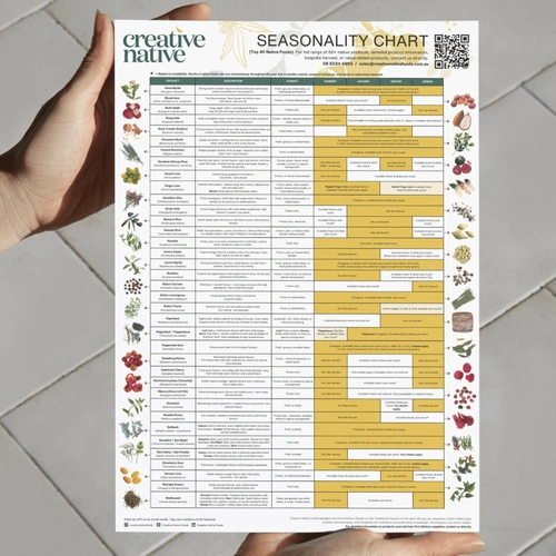 Native Food Seasonality Chart A3 Laminated Poster - Creative Native