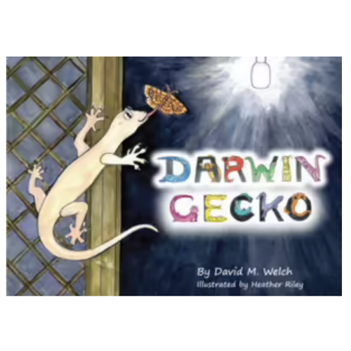 Darwin Gecko [HC] - an Aboriginal Children's Book