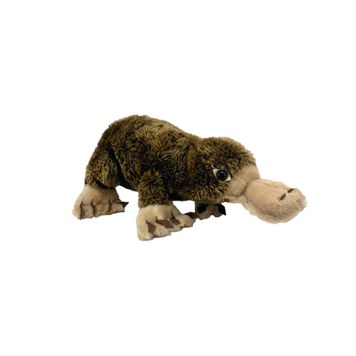 Plush Toy - Platypus (50cm)