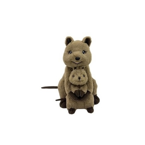 Plush Toy - Quokka Mum & Bub (25cm)