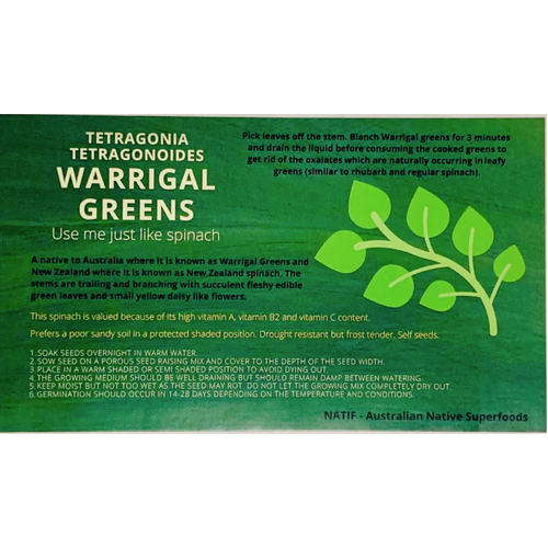 NATIF Warrigal Greens Seeds (Pk 10)