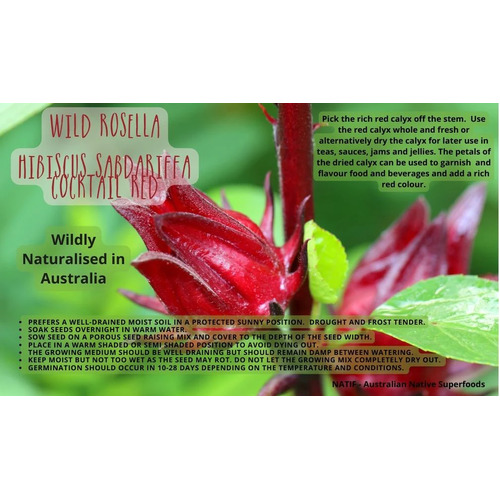 NATIF Wild Rosella Seeds (Pk 10)