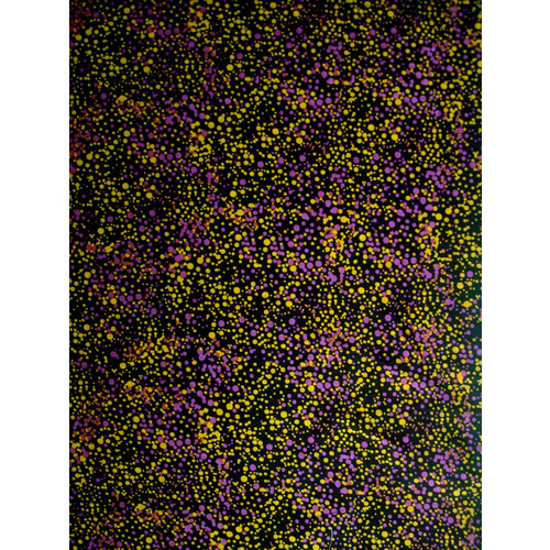Utopia Bush Plum (Yellow) [SCRAP 0.65M] - Aboriginal design Fabric