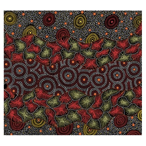 Wild Seed & Waterhole (Black) - Aboriginal design Fabric