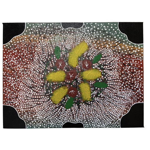 Original Aboriginal Art Stretched Canvas (40cm x 30cm) - Flowering Bush Banana Vine 