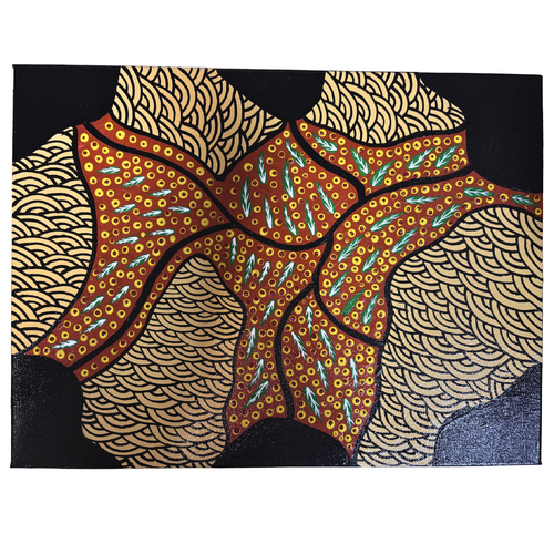Original Aboriginal Art Stretched Canvas (40cm x 30cm) - Bush Medicine